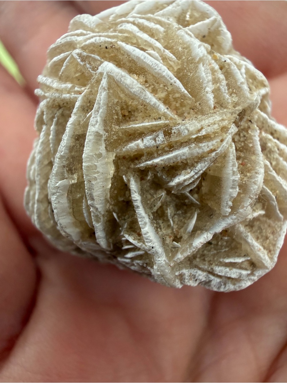 Crystal Garden | Rare Llanite | 6 Specimens - Picture 10 of 13
